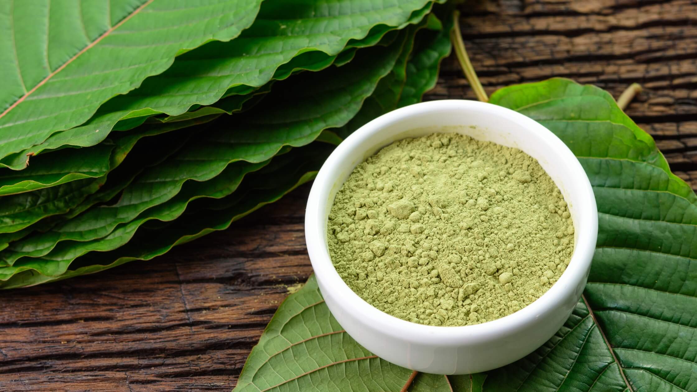 Mitragyna speciosa leaves and powder on a table