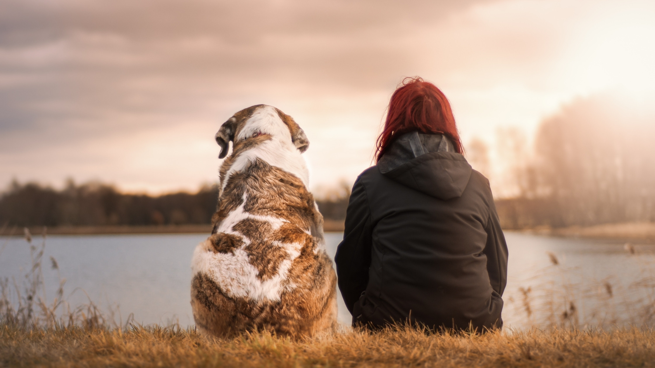 aging dog next to owner at the lake