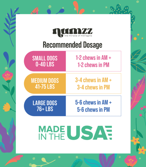 Numzz - Image 7