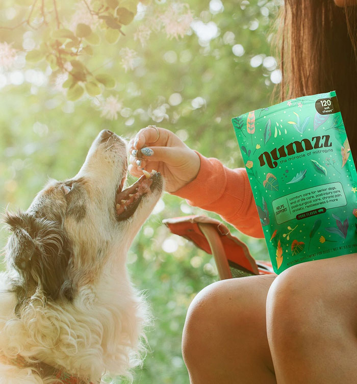Enhance your pet's well-being