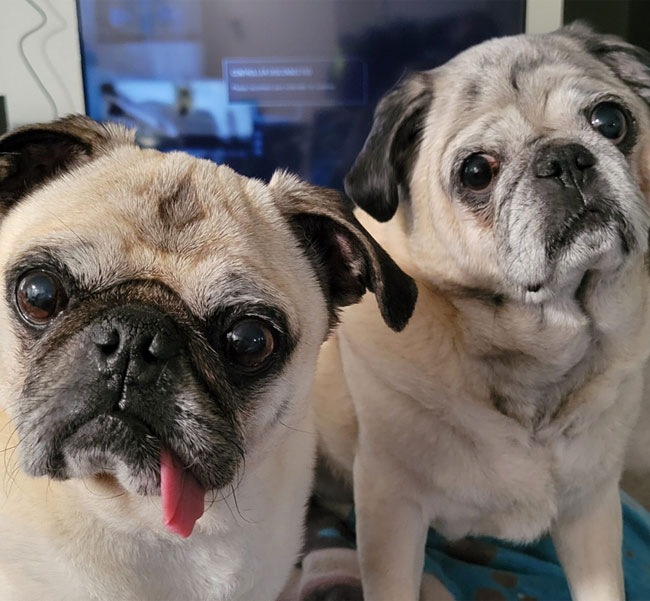 Oscar and Guopo